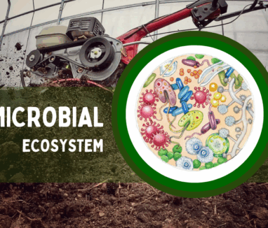 microbial system 1000x600