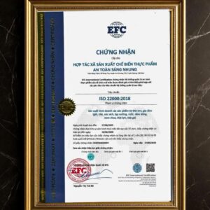 514040451_751117350699409_6245506377033072961_n